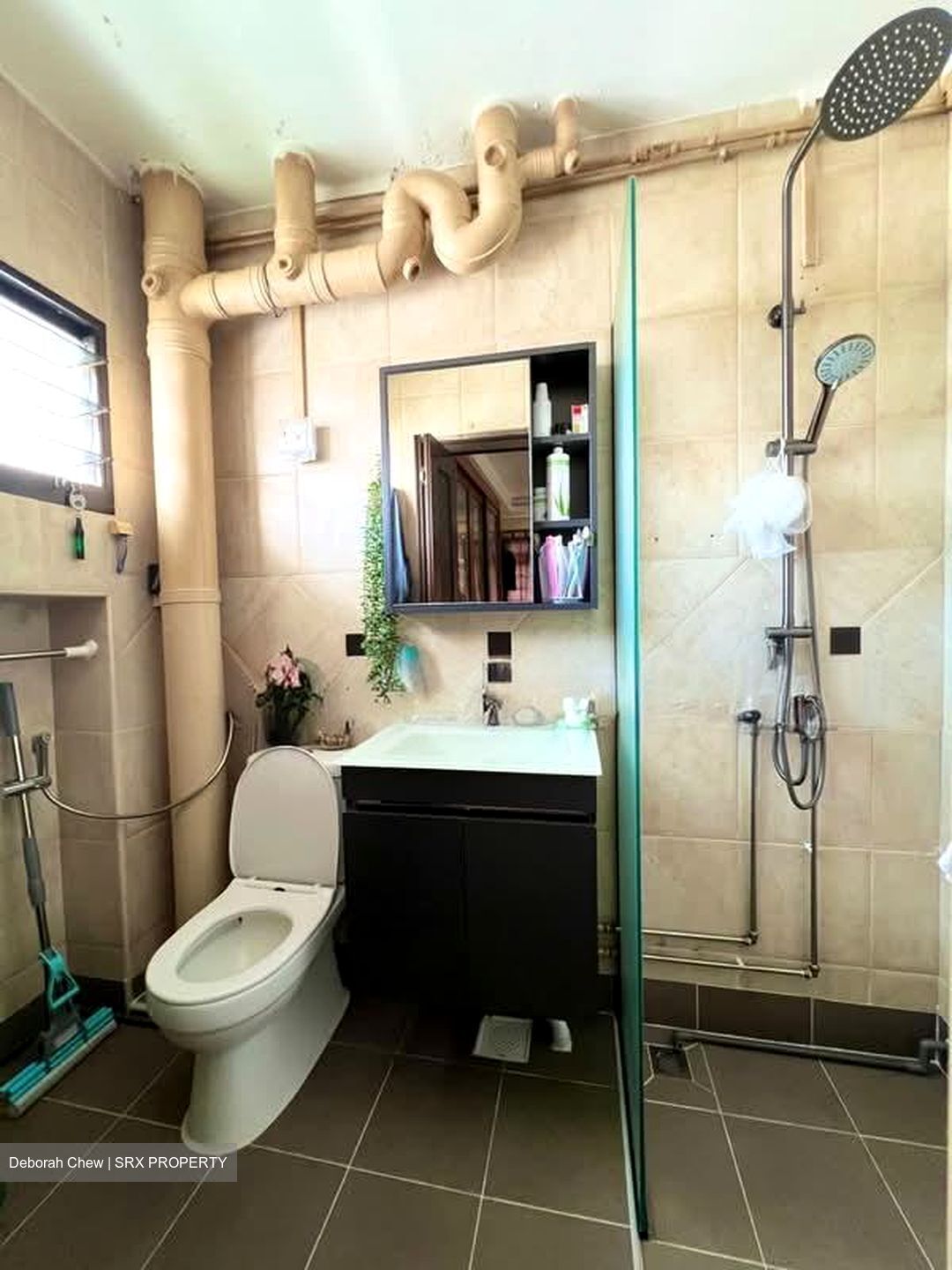 Blk 247 Pasir Ris Street 21 (Pasir Ris), HDB Executive #551936941